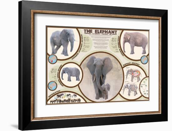 The Elephant-null-Framed Art Print