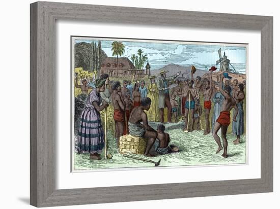 The emancipation of slaves on a West Indian plantation, early 19th century c1895-French School-Framed Giclee Print