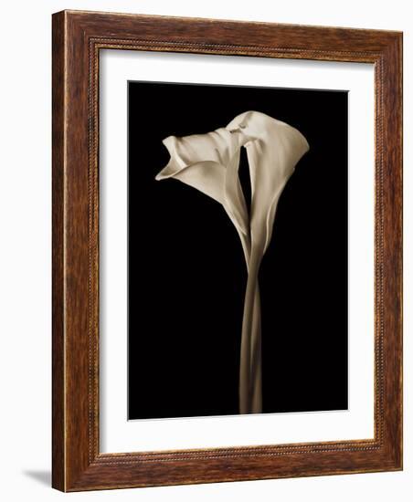 The Embrace-John Rehner-Framed Giclee Print