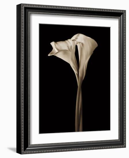 The Embrace-John Rehner-Framed Giclee Print