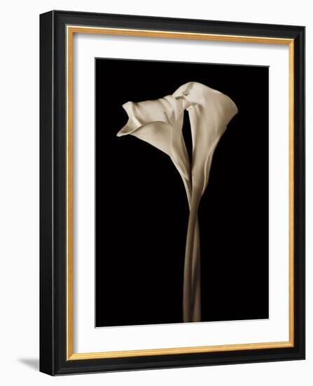 The Embrace-John Rehner-Framed Giclee Print