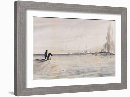 The Emperor Penguin Rookery, Cape Crozier-Edward Adrian Wilson-Framed Giclee Print