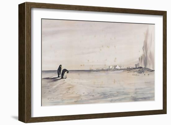 The Emperor Penguin Rookery, Cape Crozier-Edward Adrian Wilson-Framed Giclee Print