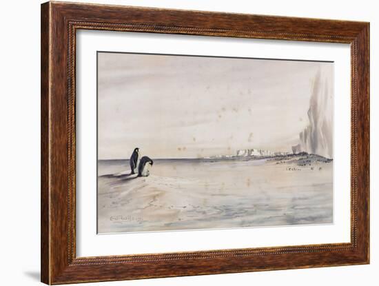 The Emperor Penguin Rookery, Cape Crozier-Edward Adrian Wilson-Framed Giclee Print