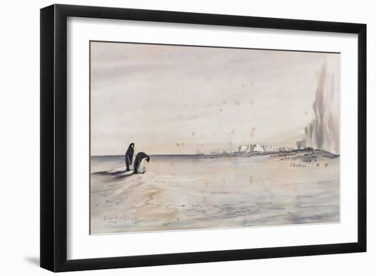 The Emperor Penguin Rookery, Cape Crozier-Edward Adrian Wilson-Framed Giclee Print