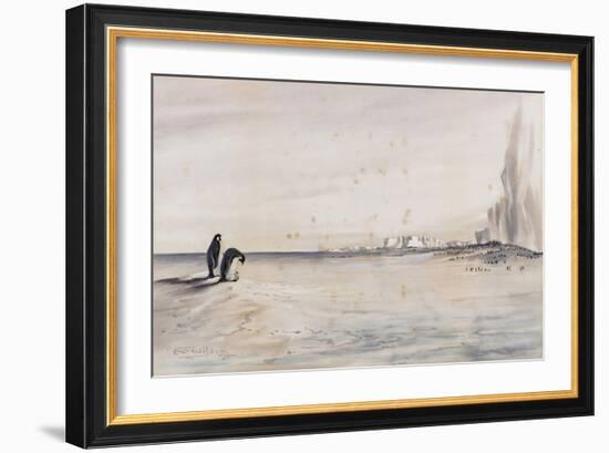 The Emperor Penguin Rookery, Cape Crozier-Edward Adrian Wilson-Framed Giclee Print