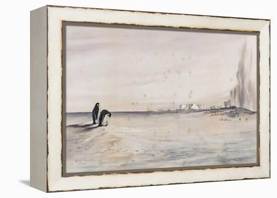 The Emperor Penguin Rookery, Cape Crozier-Edward Adrian Wilson-Framed Premier Image Canvas