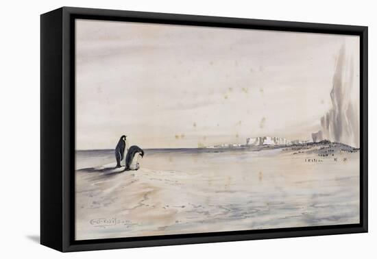 The Emperor Penguin Rookery, Cape Crozier-Edward Adrian Wilson-Framed Premier Image Canvas