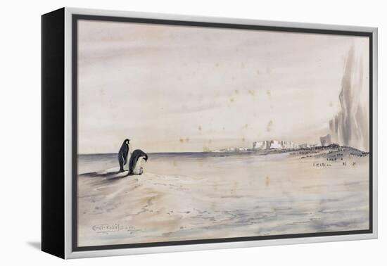 The Emperor Penguin Rookery, Cape Crozier-Edward Adrian Wilson-Framed Premier Image Canvas