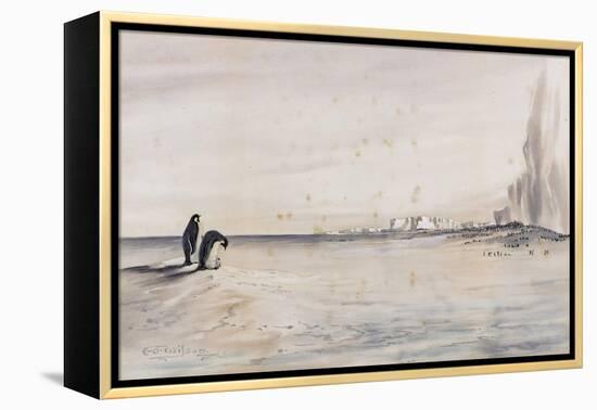 The Emperor Penguin Rookery, Cape Crozier-Edward Adrian Wilson-Framed Premier Image Canvas