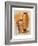 the Emperor's Son-Joadoor-Framed Art Print