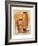 the Emperor's Son-Joadoor-Framed Art Print