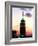 The Empire State Building Illuminated at Night-null-Framed Photographic Print