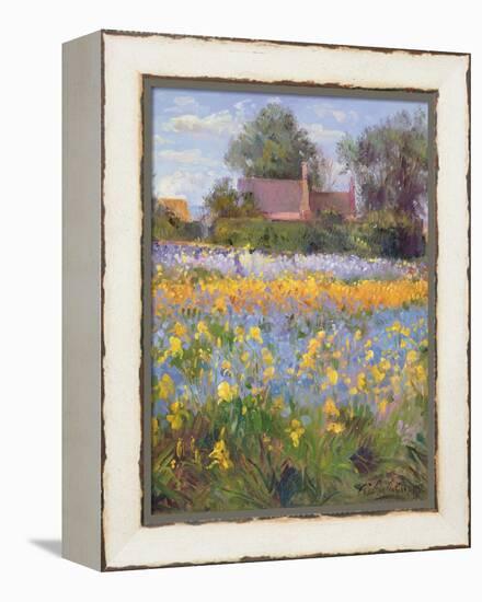 The Enclosed Cottages in the Iris Field-Timothy Easton-Framed Premier Image Canvas