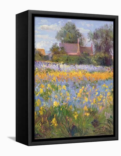 The Enclosed Cottages in the Iris Field-Timothy Easton-Framed Premier Image Canvas