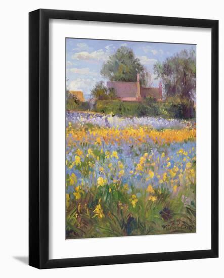 The Enclosed Cottages in the Iris Field-Timothy Easton-Framed Giclee Print