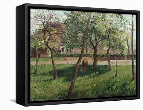 The Enclosure at Eragny, Un Clos a Eragny, 1895-Eugène Boudin-Framed Premier Image Canvas