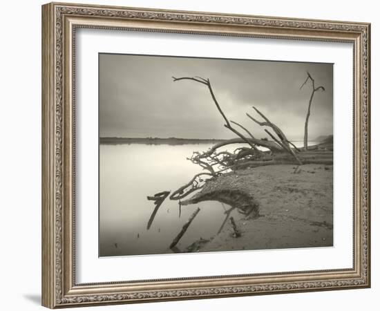 The End of History-Geoffrey Ansel Agrons-Framed Photographic Print