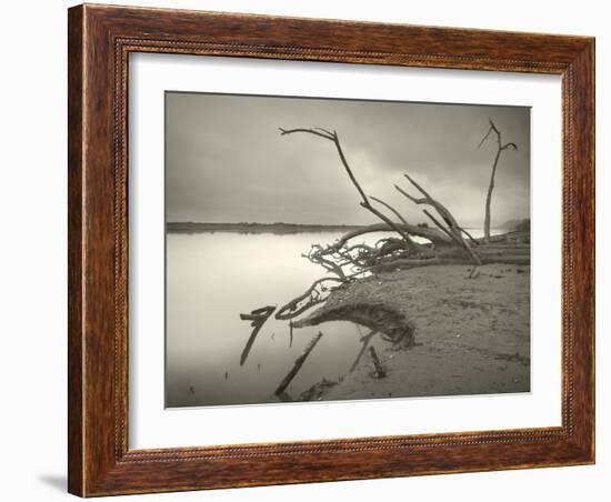 The End of History-Geoffrey Ansel Agrons-Framed Photographic Print