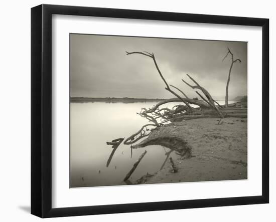 The End of History-Geoffrey Ansel Agrons-Framed Photographic Print