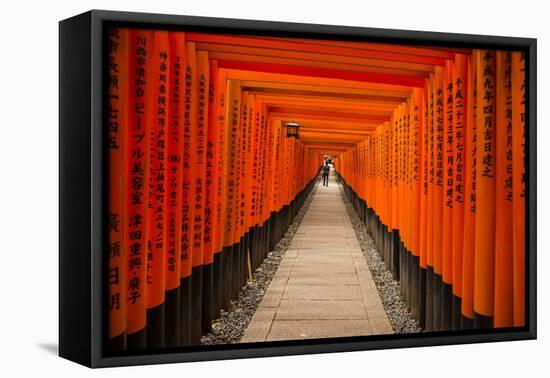 The Endless Red Gates of Kyoto's Fushimi Inari Shrine, Kyoto, Japan, Asia-Michael Runkel-Framed Premier Image Canvas