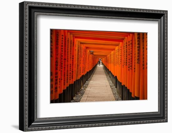 The Endless Red Gates of Kyoto's Fushimi Inari Shrine, Kyoto, Japan, Asia-Michael Runkel-Framed Photographic Print