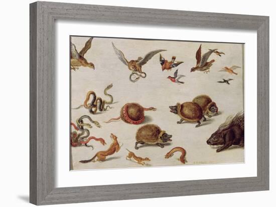 The Enemies of Snakes-Jan van Kessel-Framed Giclee Print