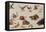 The Enemies of Snakes-Jan van Kessel-Framed Premier Image Canvas