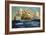 The English Fleet at Sea-Charles Dixon-Framed Giclee Print