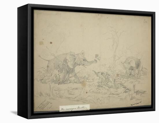 The Enraged Mother, C.1862-Thomas Baines-Framed Premier Image Canvas