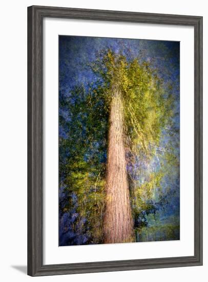 The Ent-Ursula Abresch-Framed Photographic Print