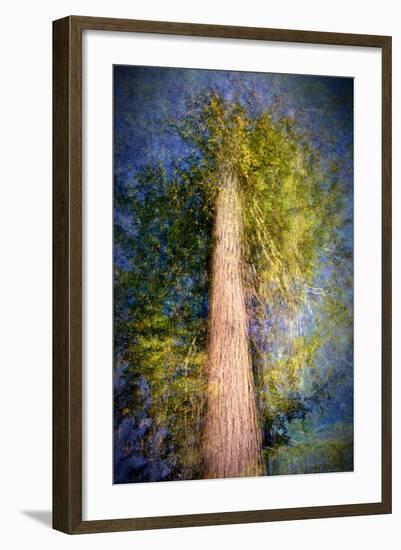 The Ent-Ursula Abresch-Framed Photographic Print