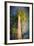 The Ent-Ursula Abresch-Framed Photographic Print