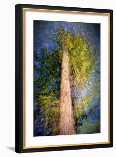 The Ent-Ursula Abresch-Framed Photographic Print