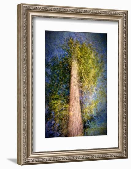 The Ent-Ursula Abresch-Framed Photographic Print