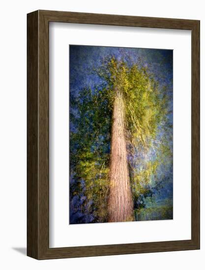 The Ent-Ursula Abresch-Framed Photographic Print