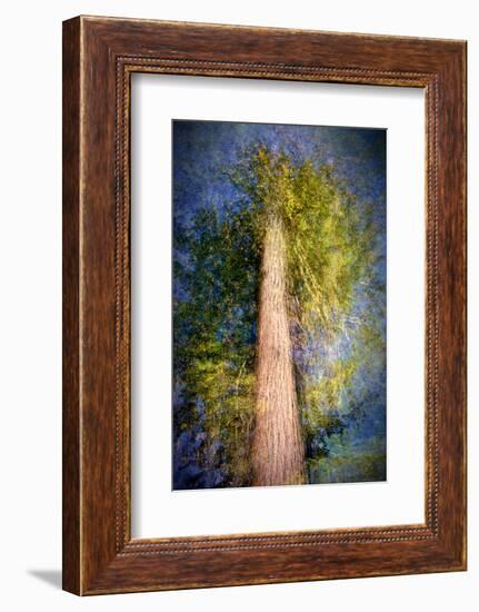 The Ent-Ursula Abresch-Framed Photographic Print