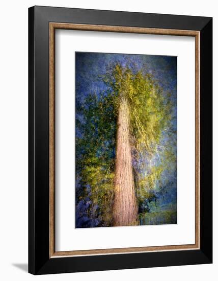 The Ent-Ursula Abresch-Framed Photographic Print