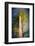 The Ent-Ursula Abresch-Framed Photographic Print