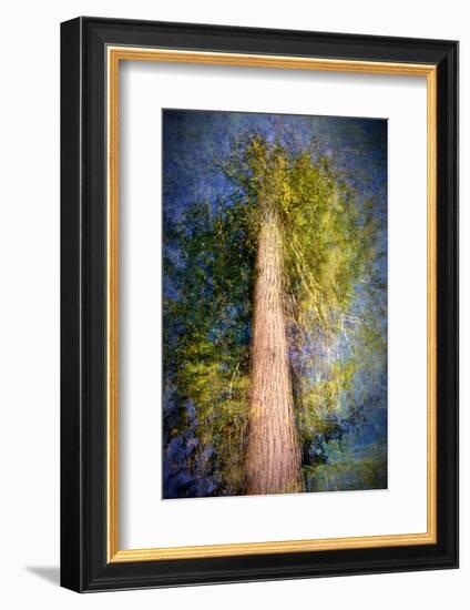 The Ent-Ursula Abresch-Framed Photographic Print