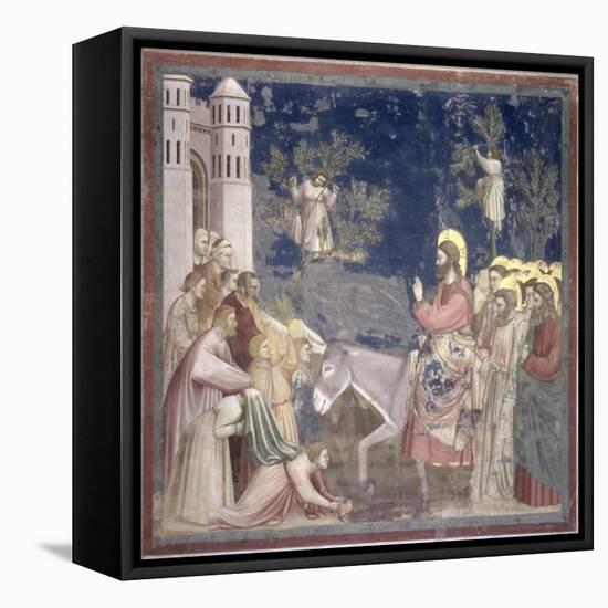 The Entry into Jerusalem, circa 1305-Giotto di Bondone-Framed Premier Image Canvas