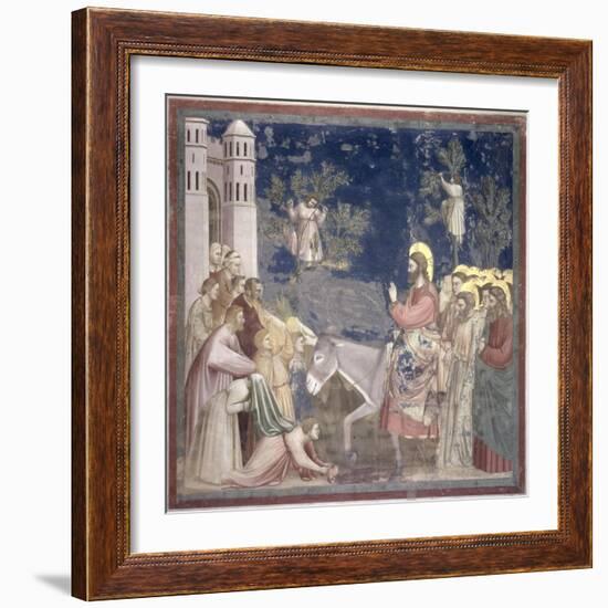 The Entry into Jerusalem, circa 1305-Giotto di Bondone-Framed Giclee Print