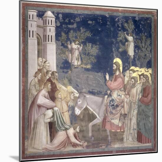 The Entry into Jerusalem, circa 1305-Giotto di Bondone-Mounted Giclee Print