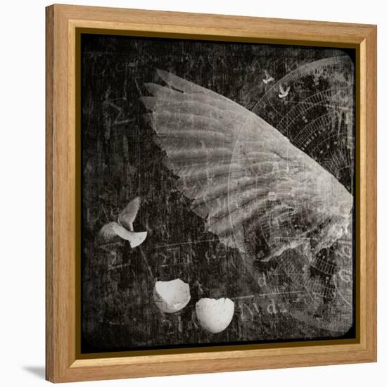 The Equations of Birds-Lydia Marano-Framed Premier Image Canvas