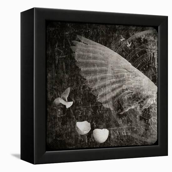 The Equations of Birds-Lydia Marano-Framed Premier Image Canvas