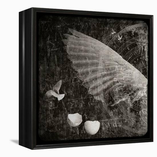 The Equations of Birds-Lydia Marano-Framed Premier Image Canvas