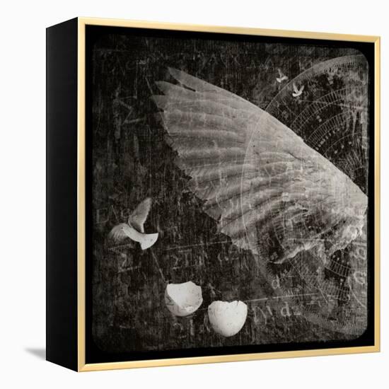 The Equations of Birds-Lydia Marano-Framed Premier Image Canvas