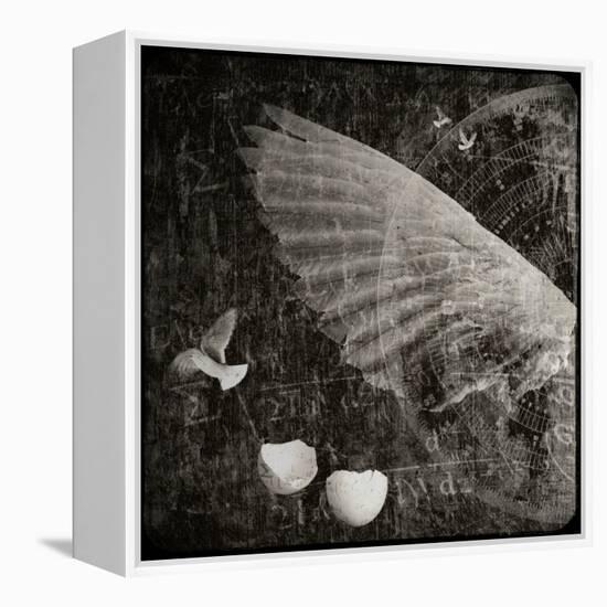 The Equations of Birds-Lydia Marano-Framed Premier Image Canvas