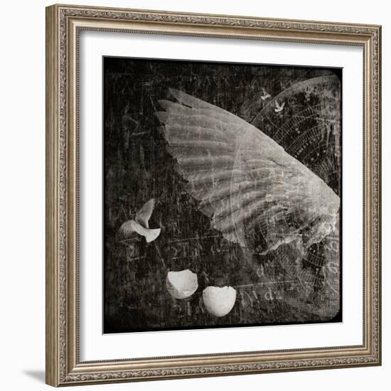 The Equations of Birds-Lydia Marano-Framed Photographic Print