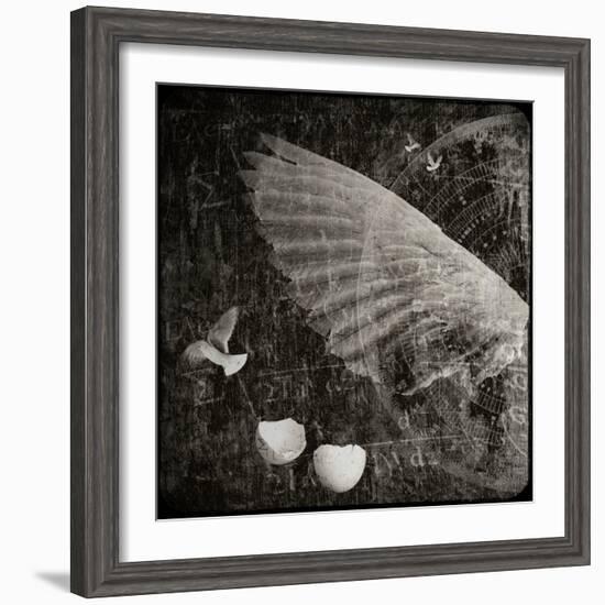 The Equations of Birds-Lydia Marano-Framed Photographic Print